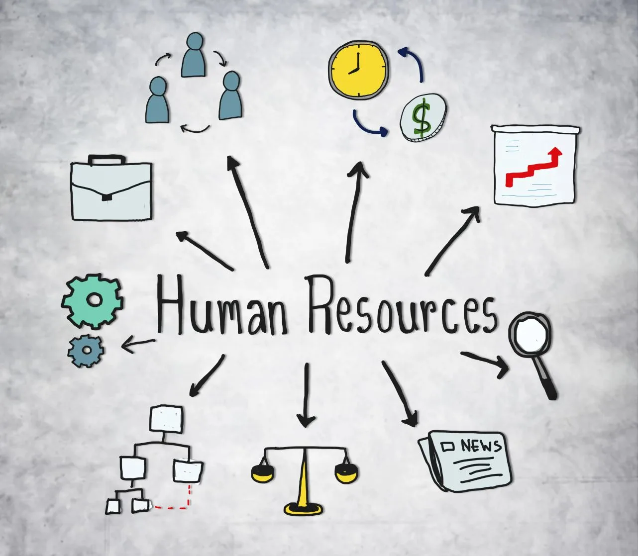 Establish a single source of HR data across operations